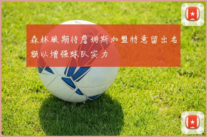 森林狼期待詹姆斯加盟特意留出名额以增强球队实力